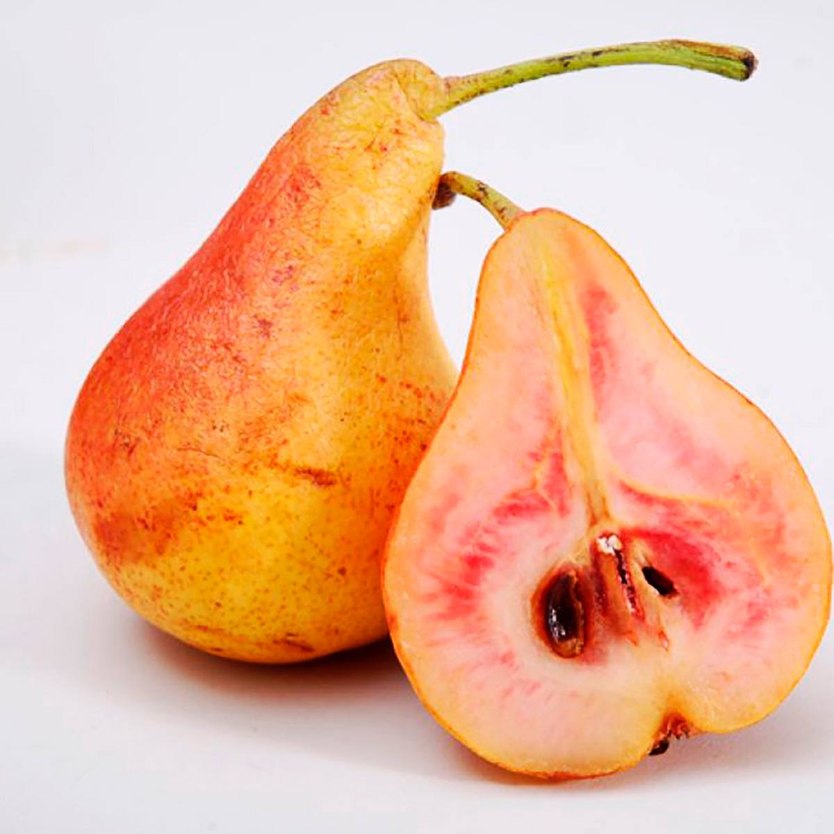 Груша Весільна червоном’яса