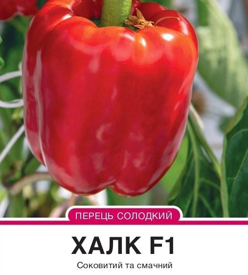 Перець Халк F1 солодкий кубовидний,8 насінин