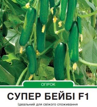 Огірок Супер Бейбі F1 гладкий партенокарпічний,5 насінин