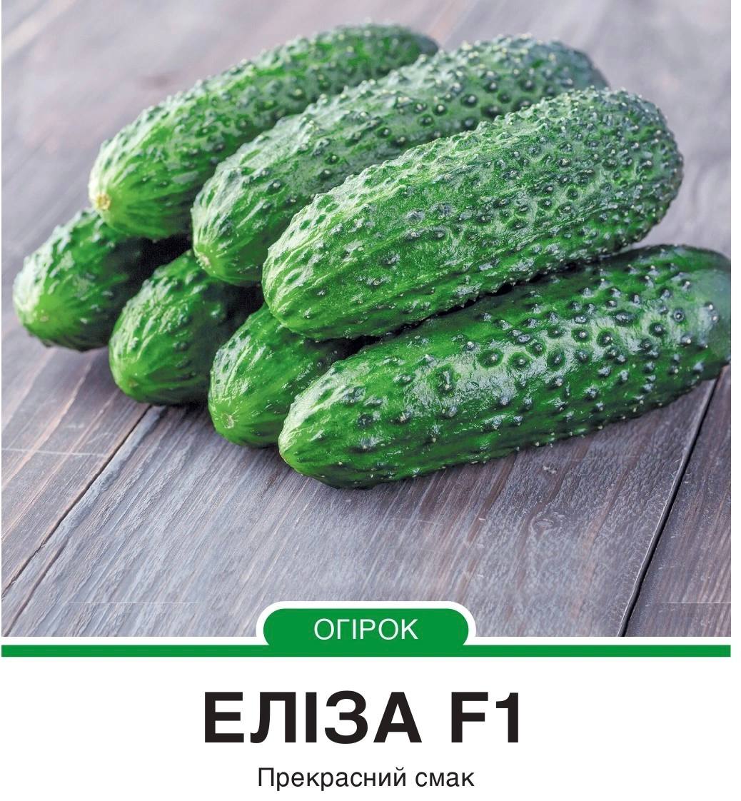 Огірок Еліза F1 корнішон партенокарпічний,50 насінин
