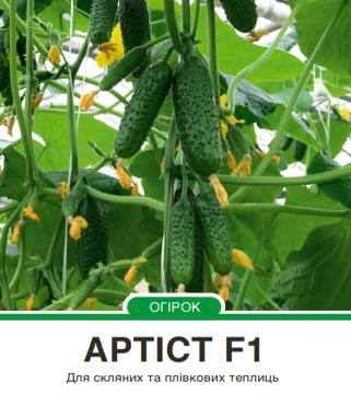 Огірок Артіст F1 корнішон партенокарпічний,10 насінин