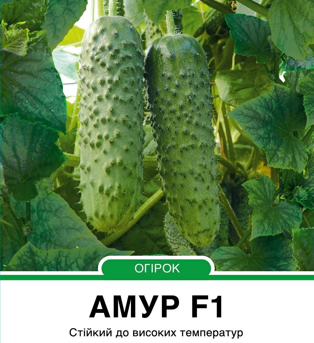 Огірок Амур F1 корнішон партенокарпічний,10 насінин