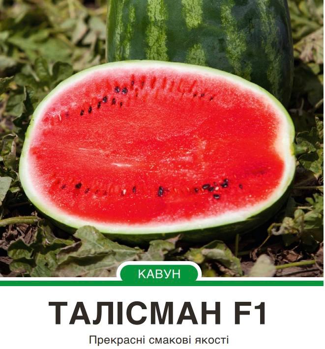 Кавун Талісман F1 круглий,5 насінин
