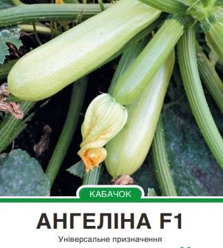 Кабачок Ангеліна F1 світло-зелений,5 насінин