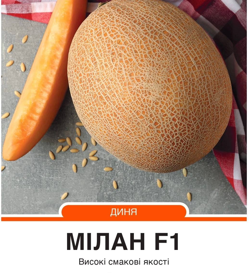 Диня Мілан F1 тип Ананас середньостигла,5 насінин