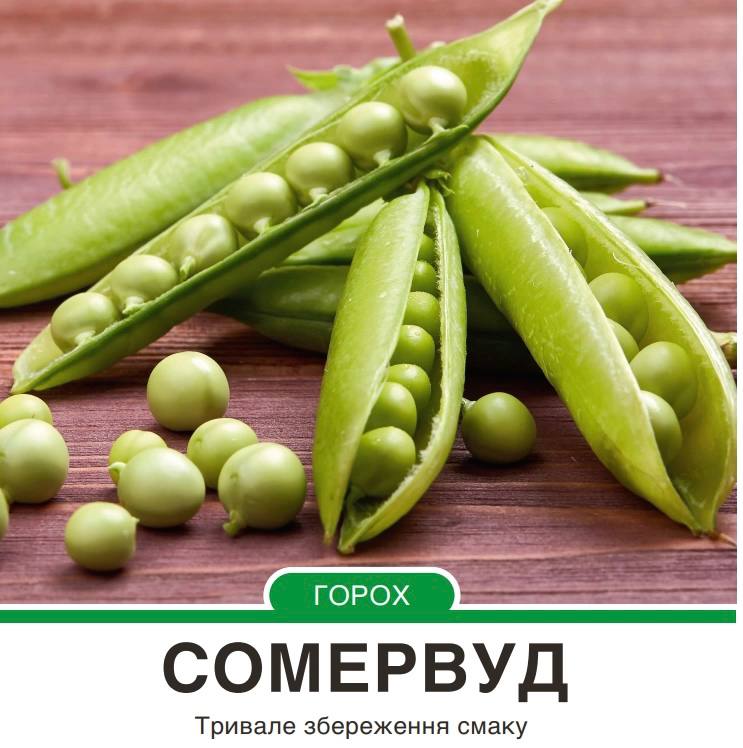 Горох Сомервуд овочевий середньостиглий,100 г
