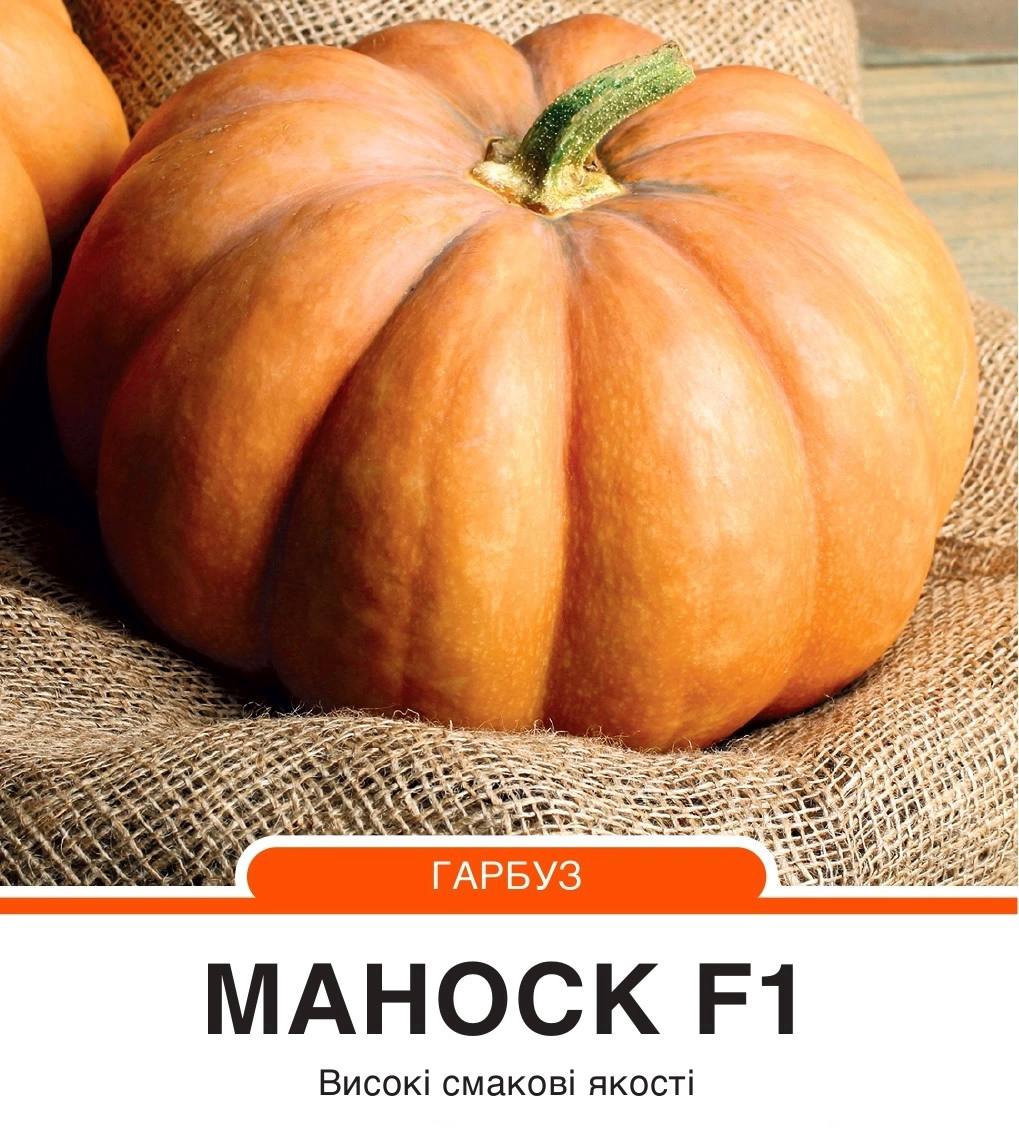 Гарбуз Маноск  F1 тип Мускат де Прованс,середньостиглий,5 насінин