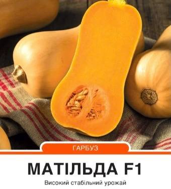 Гарбуз Матільда F1 тип Баттернат середньостиглий,5 насінин