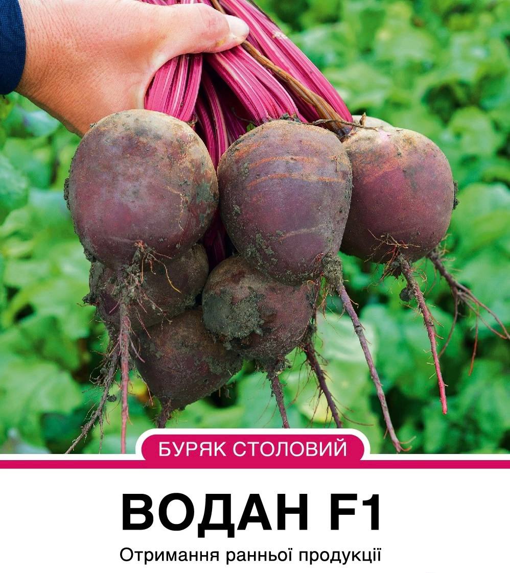Буряк Водан F1 столовий округлий,200 насінин