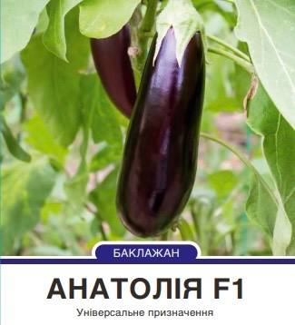 Баклажан Анатолія F1 циліндричний,10 насінин