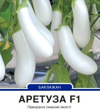 Баклажан білий Аретуза F1 циліндричний,8 насінин
