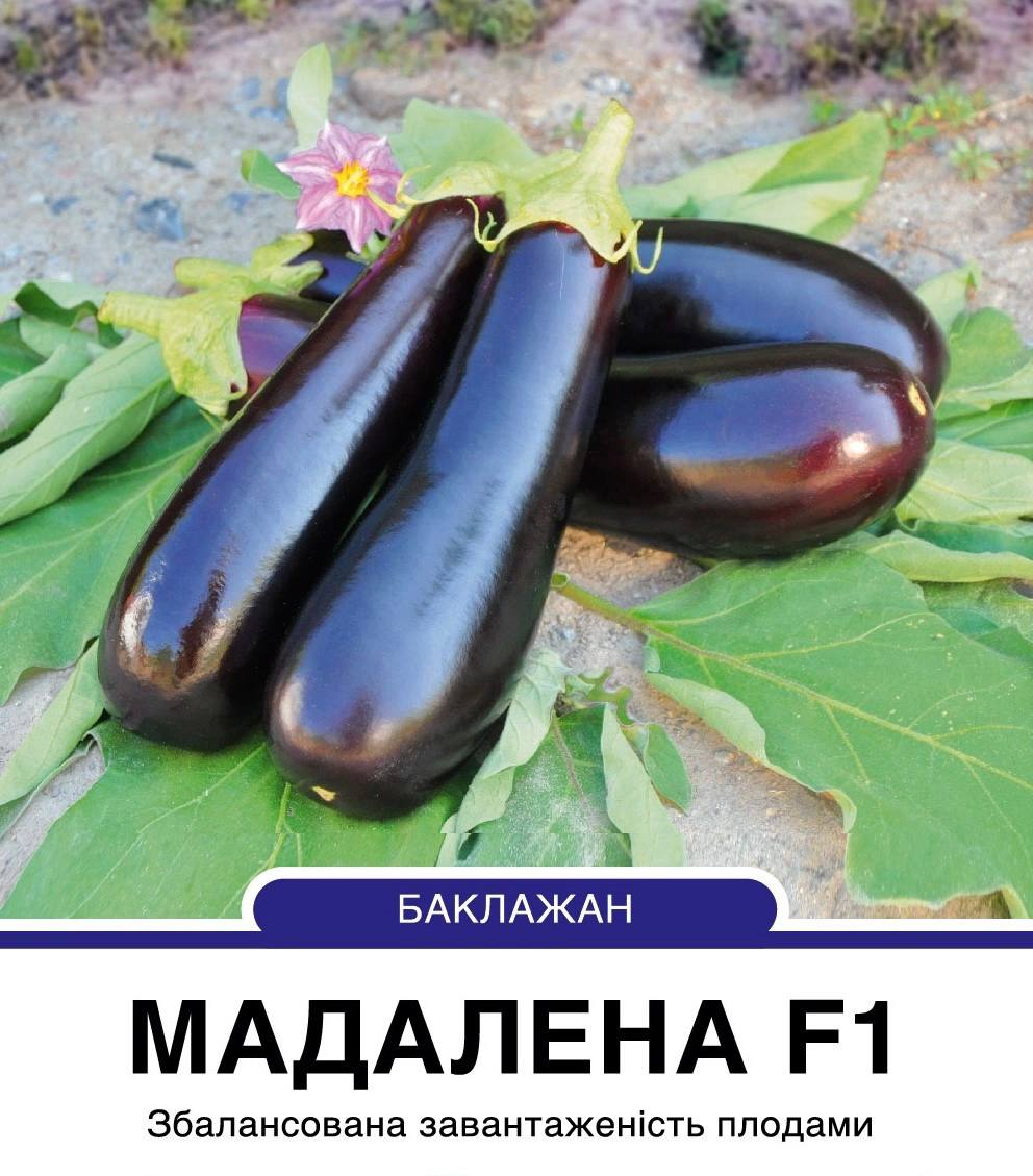 Баклажан Мадалена F1 видовжений,10 насінин