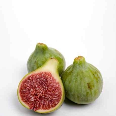 Інжир Закавказький 2 роки