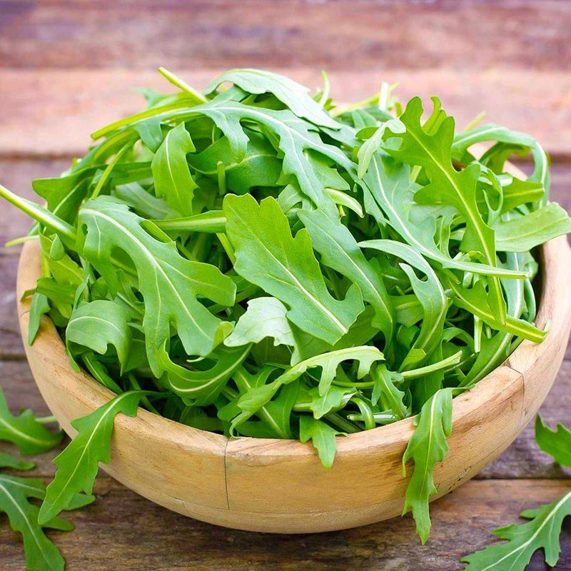 Насіння руколи