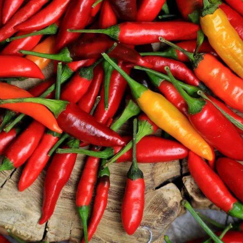 Насіння перцю гострого