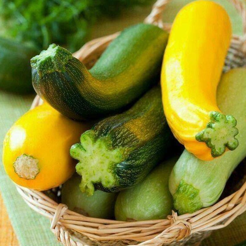 Насіння кабачка